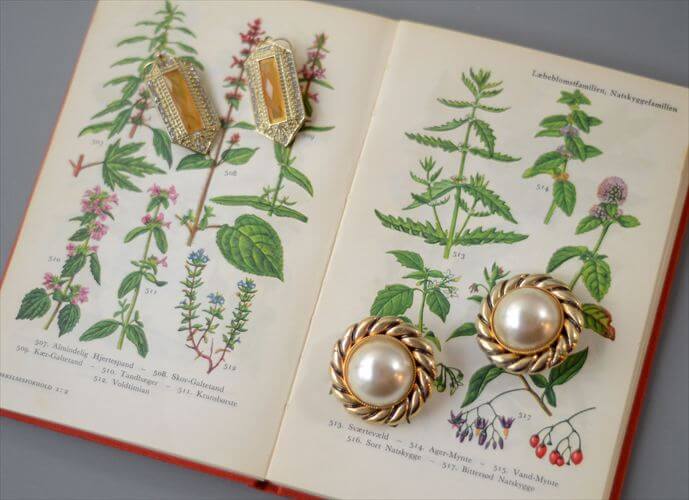 デンマークのイラスト植物図鑑 北欧やヨーロッパの植物誌 洋書 Flora I Farver アンティークブック ディスプレイ 古書