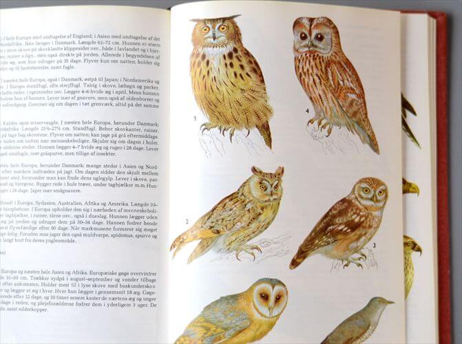 デンマークのイラスト動物・植物図鑑 北欧やヨーロッパの生物誌 洋書 Lademanns naturforer アンティークブック ディスプレイ 古書