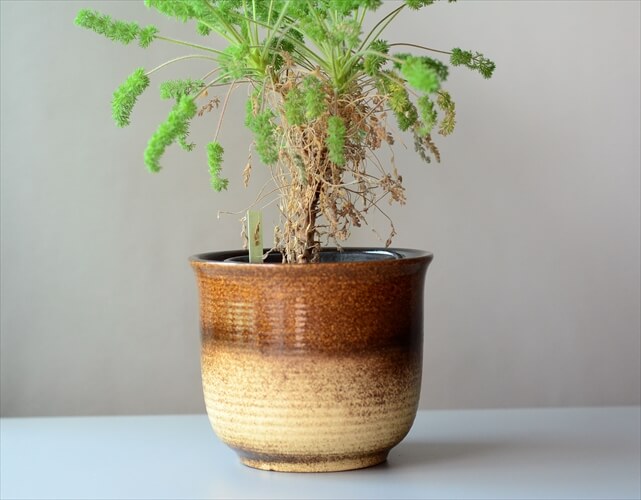 訳あり 西ドイツ製 ヴィンテージ Scheurich窯 陶器の鉢 鉢カバー 花器 植木鉢 フラワーポット フラワーベース アンティーク_240307