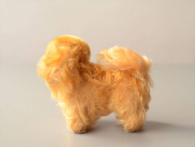 1953-76年代 ドイツ製 Steiff イヌ Pekinese Peky ぬいぐるみ シュタイフ ドール フィギュア アンティーク ヴィンテージ_250606