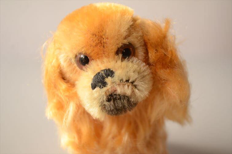 1953-76年代 ドイツ製 Steiff イヌ Pekinese Peky ぬいぐるみ シュタイフ ドール フィギュア アンティーク ヴィンテージ_250606