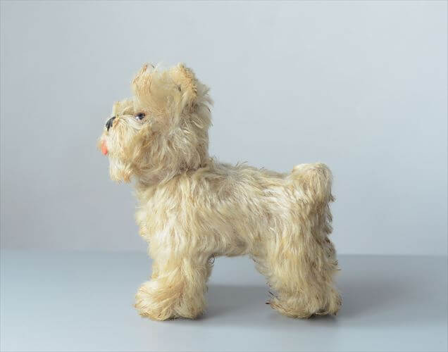 1954-1970年 ドイツ製 Steiff 犬 schnauzer tessie シュナウザー ぬいぐるみ シュタイフ ドール フィギュア アンティーク ヴィンテージ_251010
