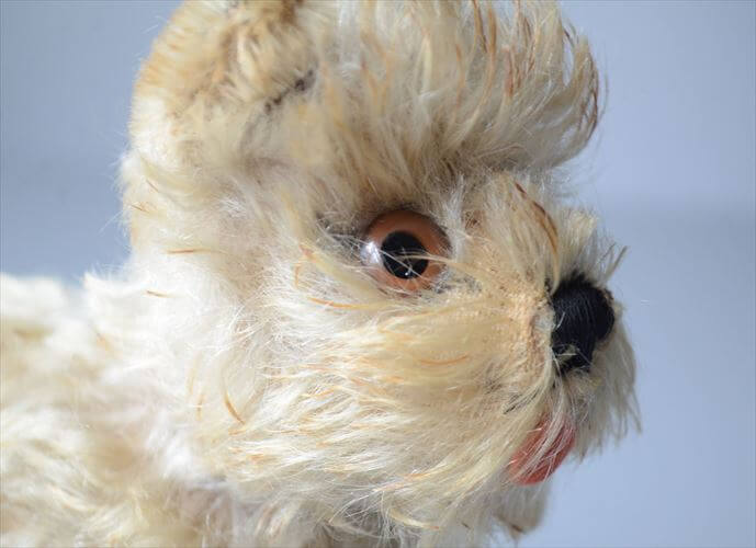 1954-1970年 ドイツ製 Steiff 犬 schnauzer tessie シュナウザー ぬいぐるみ シュタイフ ドール フィギュア アンティーク ヴィンテージ_251010