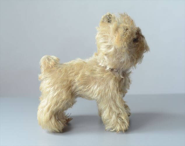 1954-1970年 ドイツ製 Steiff 犬 schnauzer tessie シュナウザー ぬいぐるみ シュタイフ ドール フィギュア アンティーク ヴィンテージ_251010