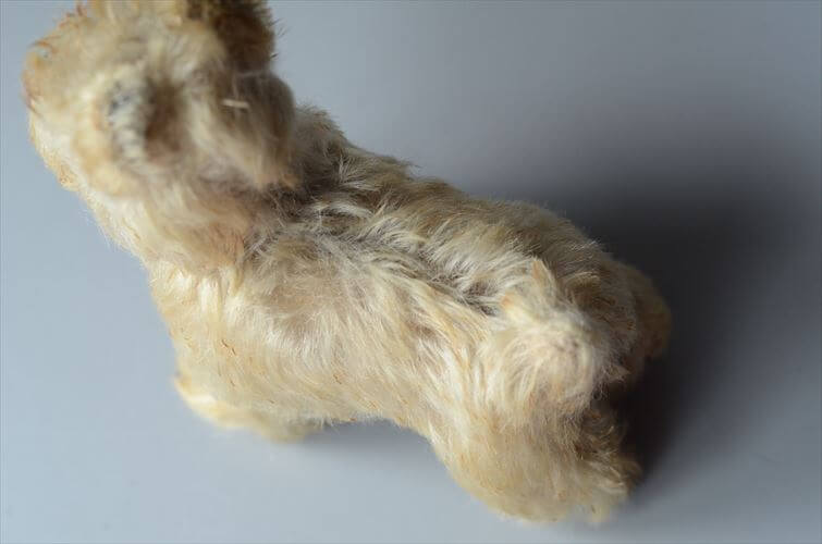 1954-1970年 ドイツ製 Steiff 犬 schnauzer tessie シュナウザー ぬいぐるみ シュタイフ ドール フィギュア アンティーク ヴィンテージ_251010