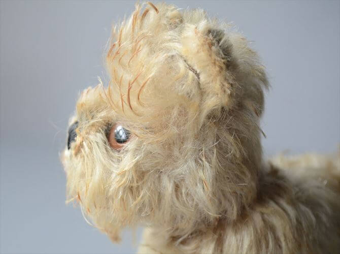 1954-1970年 ドイツ製 Steiff 犬 schnauzer tessie シュナウザー ぬいぐるみ シュタイフ ドール フィギュア アンティーク ヴィンテージ_251010