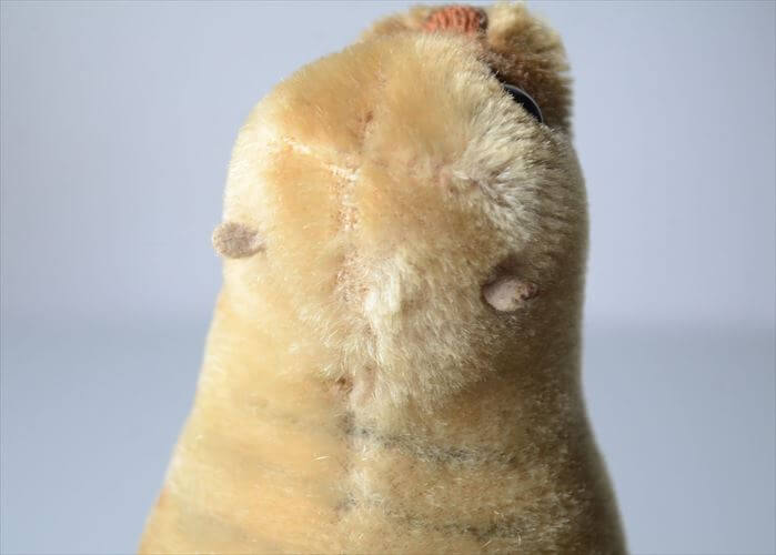 1954-1974年 ドイツ製 Steiff アザラシ robby seal ぬいぐるみ シュタイフ ドール フィギュア アンティーク ヴィンテージ_251010