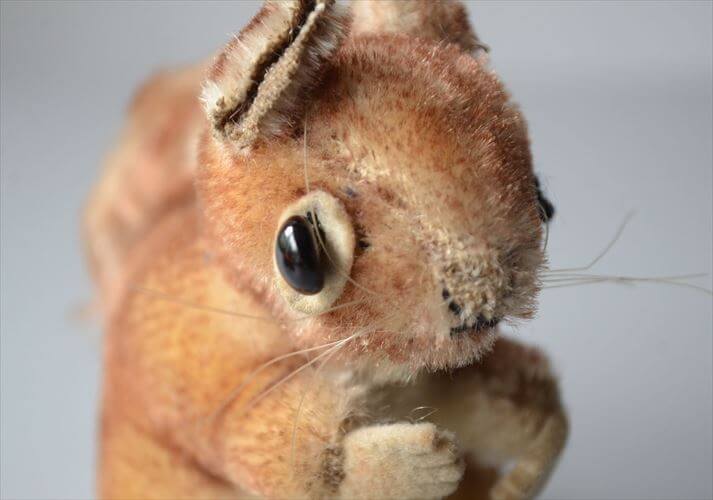 1959-1983年 ドイツ製 Steiff リス perri squirrel ぬいぐるみ シュタイフ ドール フィギュア アンティーク ヴィンテージ_251010