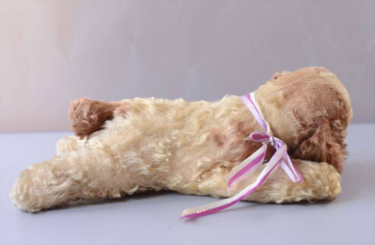 1953-77年代 ドイツ製 Steiff イヌ Floppy Dog Cockie ぬいぐるみ シュタイフ ドール フィギュア アンティーク ヴィンテージ_260410