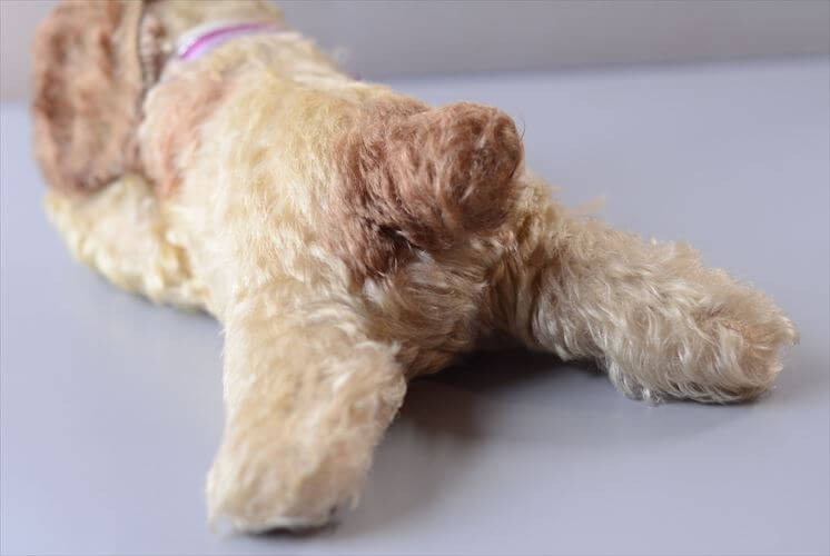 1953-77年代 ドイツ製 Steiff イヌ Floppy Dog Cockie ぬいぐるみ シュタイフ ドール フィギュア アンティーク ヴィンテージ_260410