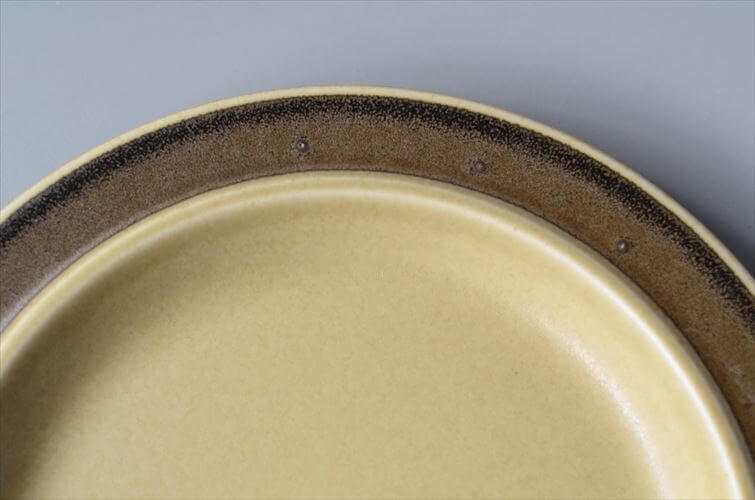 ARABIA アラビア TUNTURI 20cm プレート お皿 トゥントゥリ Ulla Procope 北欧食器 フィンランド アンティーク ヴィンテージ_250415