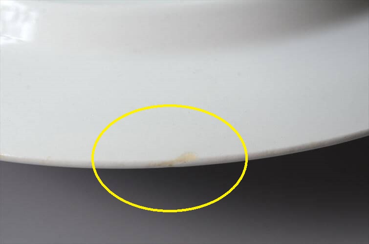 希少！Arabia Villiruusu 20cm プレート お皿 アラビア ヴィリルース 北欧 フィンランド ヴィンテージ アンティーク_250617