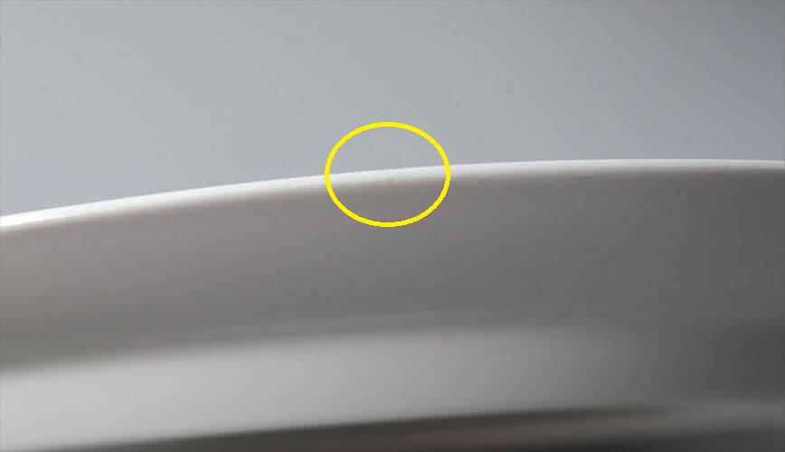 希少！Arabia Villiruusu 20cm プレート お皿 アラビア ヴィリルース 北欧 フィンランド ヴィンテージ アンティーク_250617