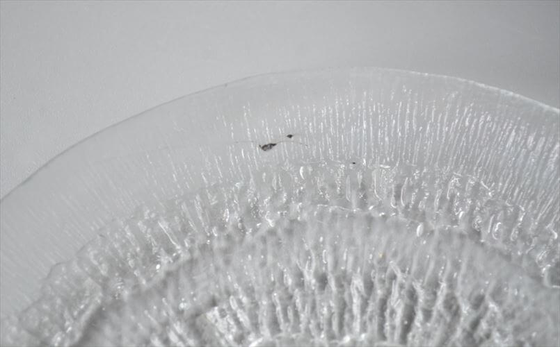 iittala イッタラ Solaris 16.5cm ガラスのプレート ソラリス お皿 北欧 フィンランド アンティーク_250708