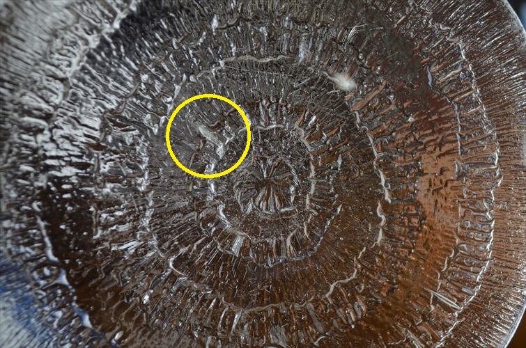 iittala イッタラ Solaris 16.5cm ガラスのプレート ソラリス お皿 北欧 フィンランド アンティーク_250708