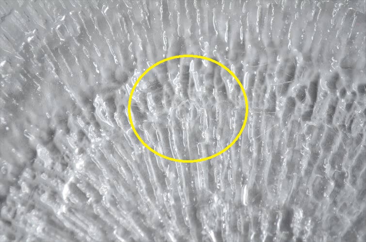 iittala イッタラ Solaris 20cm ガラスのプレート ソラリス お皿 北欧 フィンランド アンティーク_250708