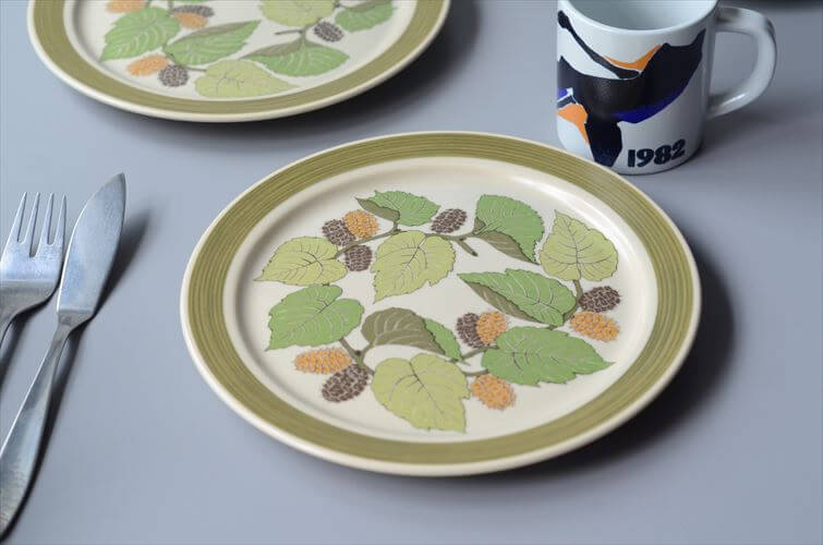 1960～70年代 ドイツ製 Rosenthal Terra Garda 20.5cm プレート お皿 ローゼンタール 陶器 アンティーク ヴィンテージ_250918