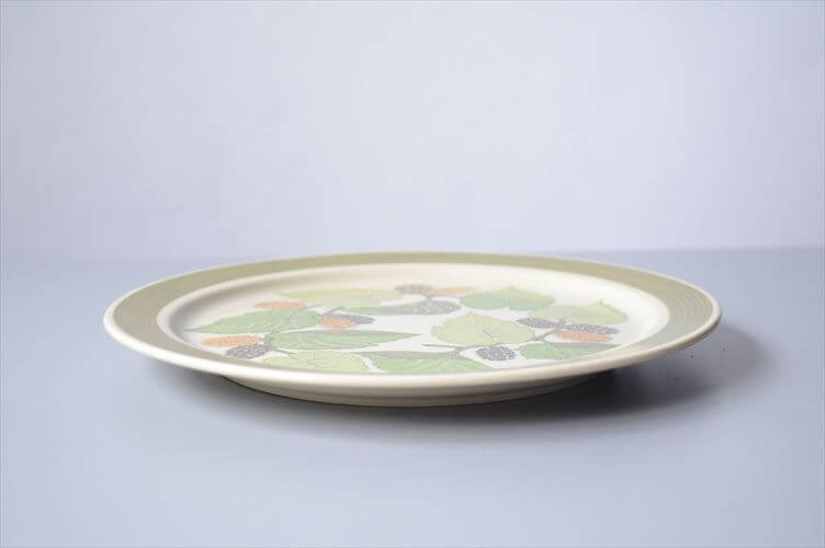 1960～70年代 ドイツ製 Rosenthal Terra Garda 20.5cm プレート お皿 ローゼンタール 陶器 アンティーク ヴィンテージ_250918