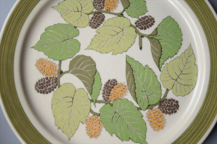 1960～70年代 ドイツ製 Rosenthal Terra Garda 20.5cm プレート お皿 ローゼンタール 陶器 アンティーク ヴィンテージ_250918