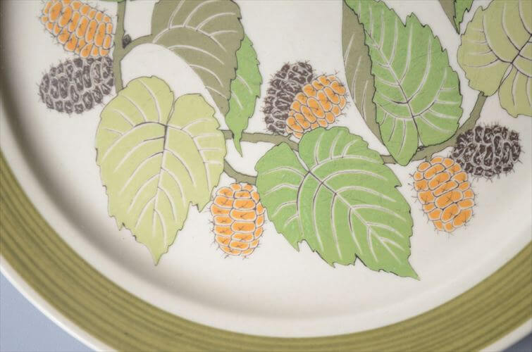 1960～70年代 ドイツ製 Rosenthal Terra Garda 20.5cm プレート お皿 ローゼンタール 陶器 アンティーク ヴィンテージ_250918