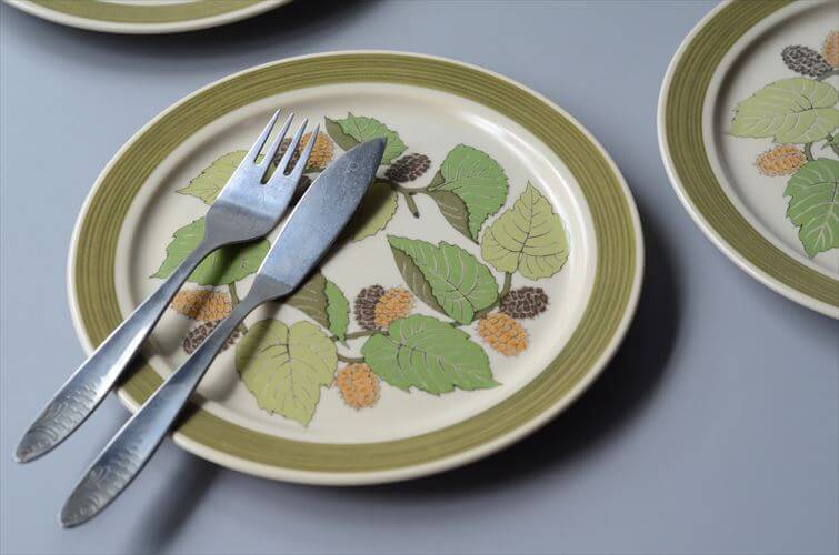 1960～70年代 ドイツ製 Rosenthal Terra Garda 20.5cm プレート お皿 ローゼンタール 陶器 アンティーク ヴィンテージ_250918