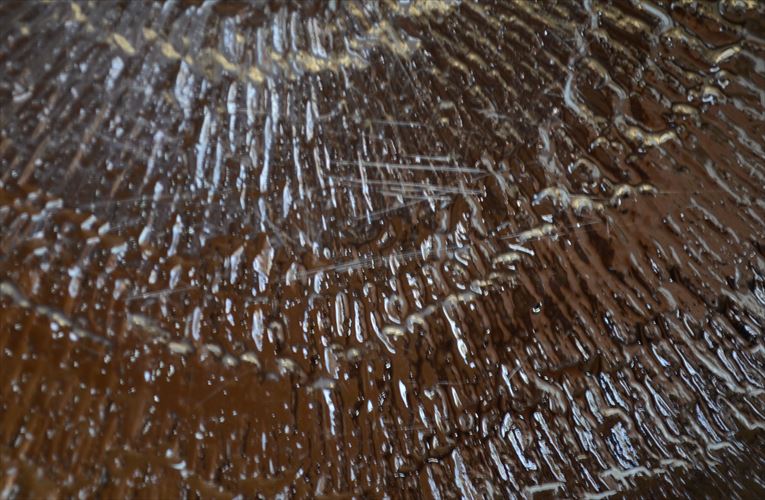 iittala イッタラ Solaris 20cm ガラスのプレート ソラリス お皿 北欧 フィンランド アンティーク_251202