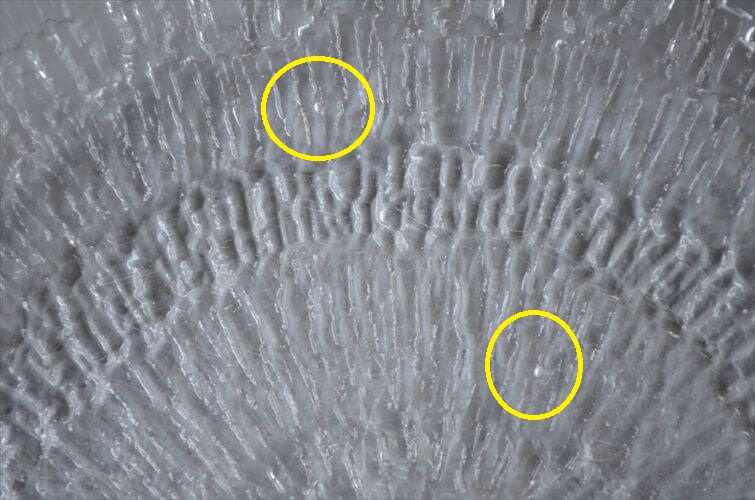 iittala イッタラ Solaris 20cm ガラスのプレート ソラリス お皿 北欧 フィンランド アンティーク_251202