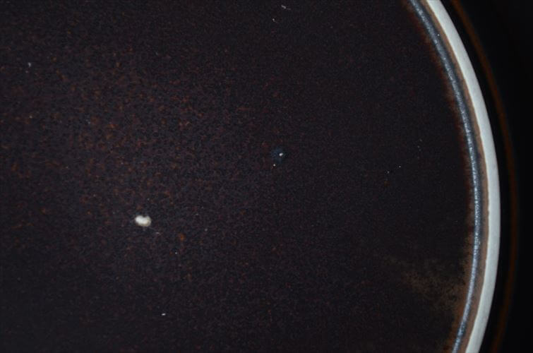 ARABIA アラビア Ruska 25cm プレート お皿 ルスカ 北欧食器 フィンランド 陶器 北欧 ヴィンテージ アンティーク_251205