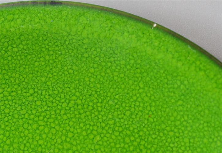 訳あり Villeroy&Boch Agadir クリーマー ポット プレートの3点セット ビレロイ＆ボッホ アガディール ヴィンテージ アンティーク