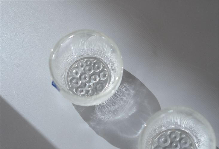 フィンランド製 NUUTAJARVI ARABIA Pioni ショットグラス 30ml ヌータヤルヴィ アラビア ピオニ ガラス 北欧 ヴィンテージ